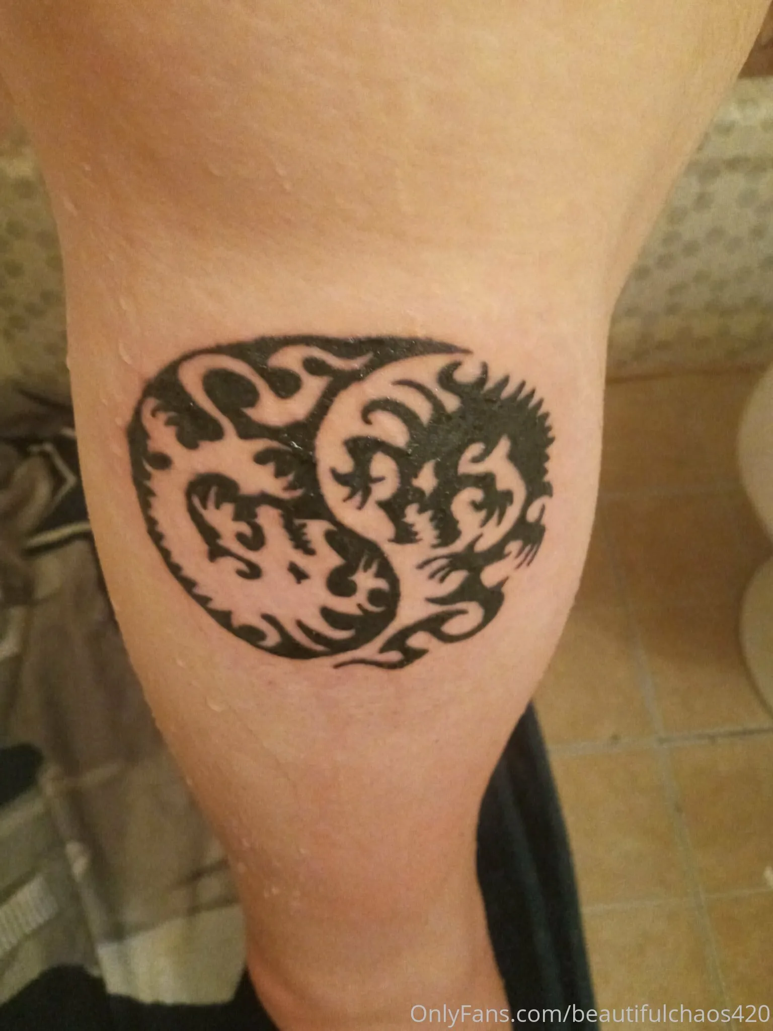 Beautiful Chaos photo #11