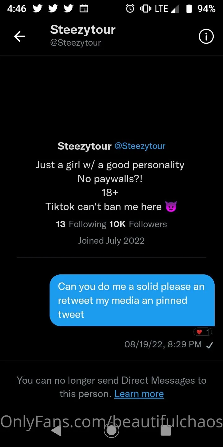 Beautiful Chaos photo #5