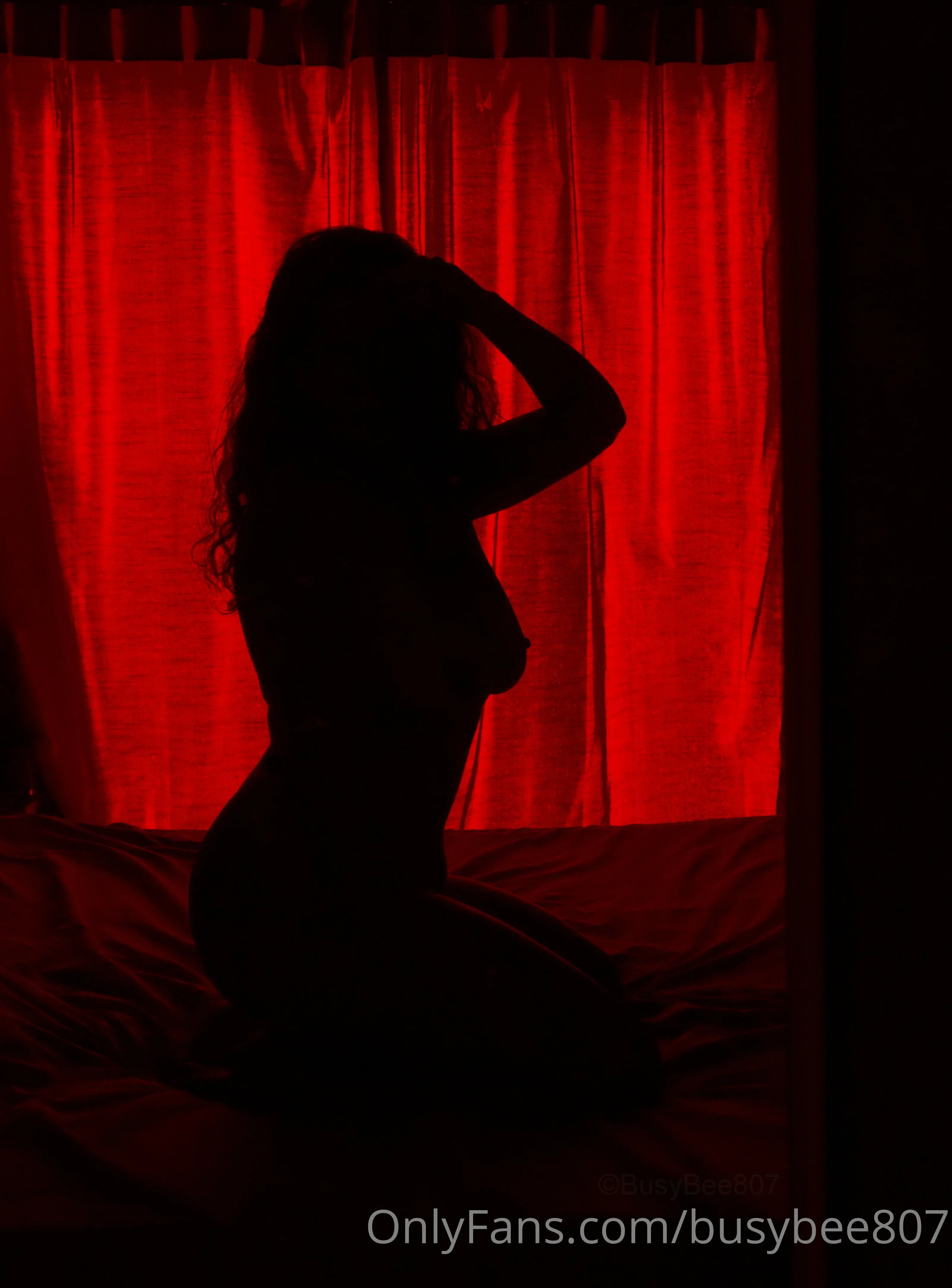 Busybee FREE photo #15