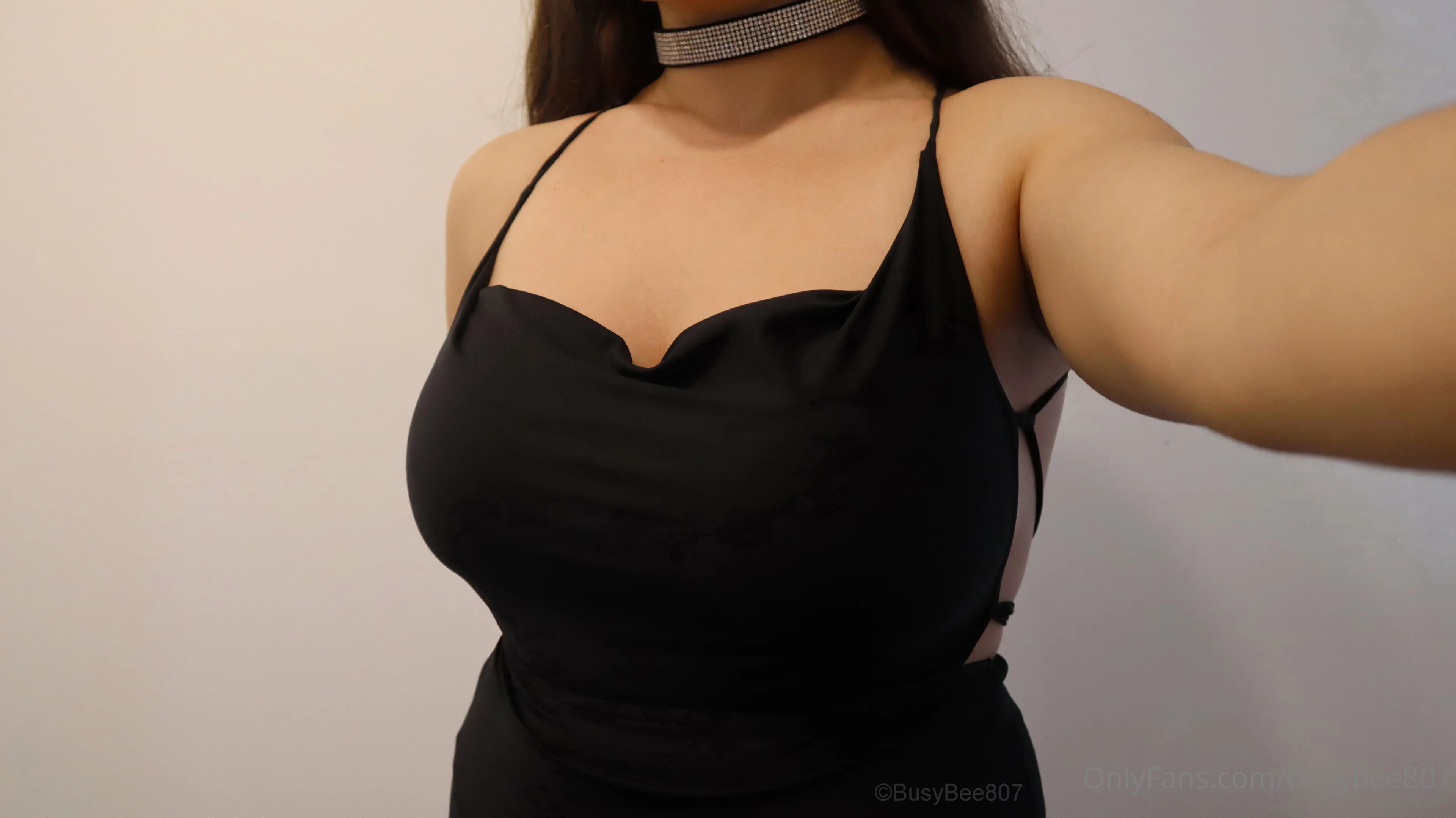 Busybee FREE photo #8