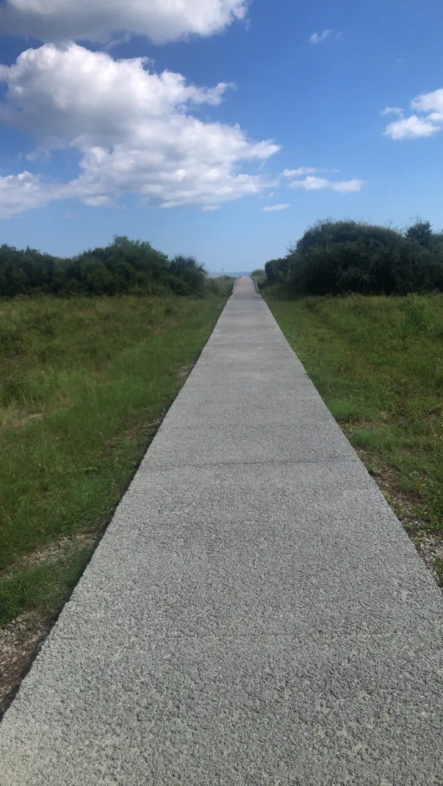 Dr. Love aka doldskool photo #13