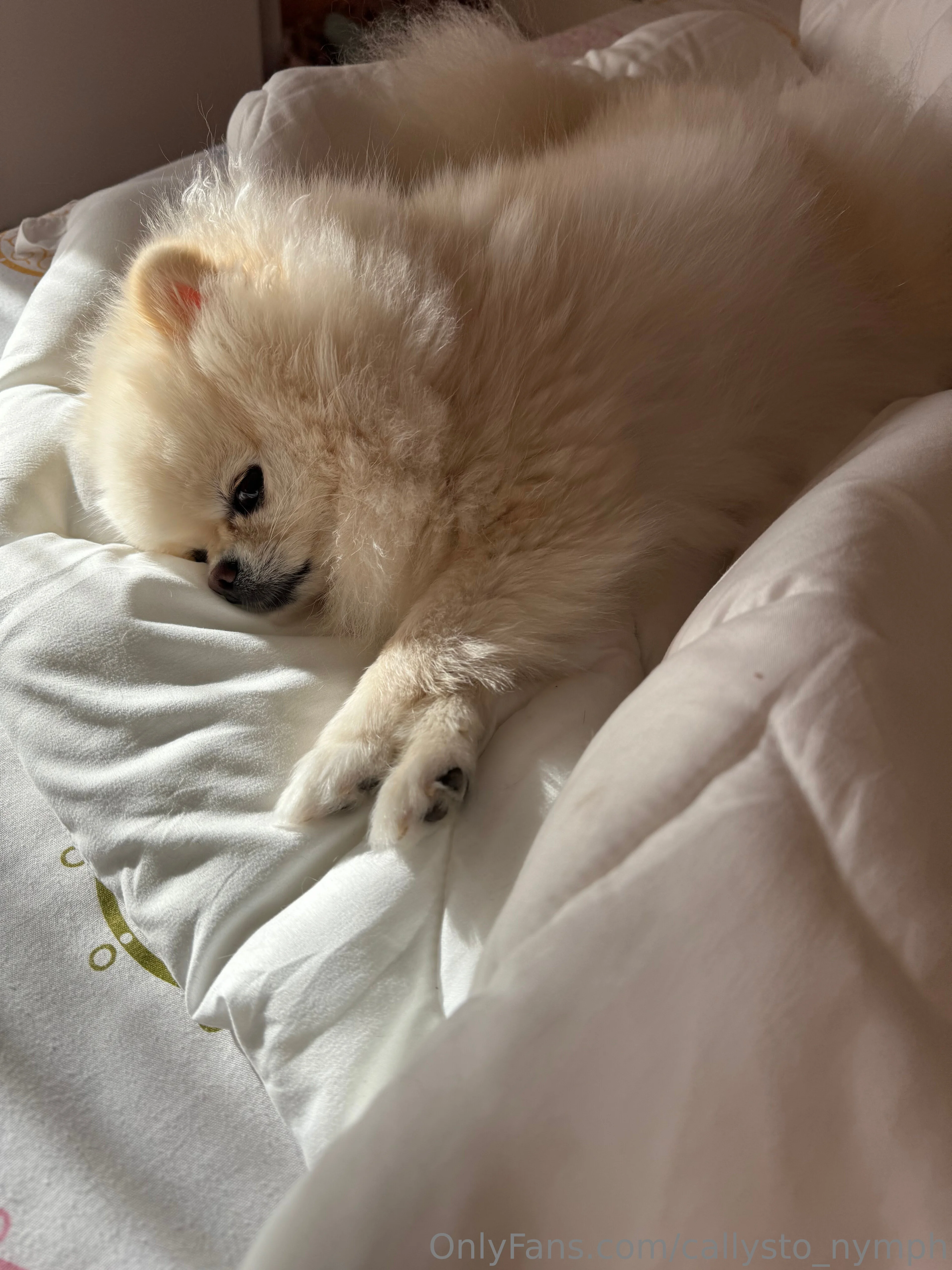 🤎 CELINE 🤎 photo #14