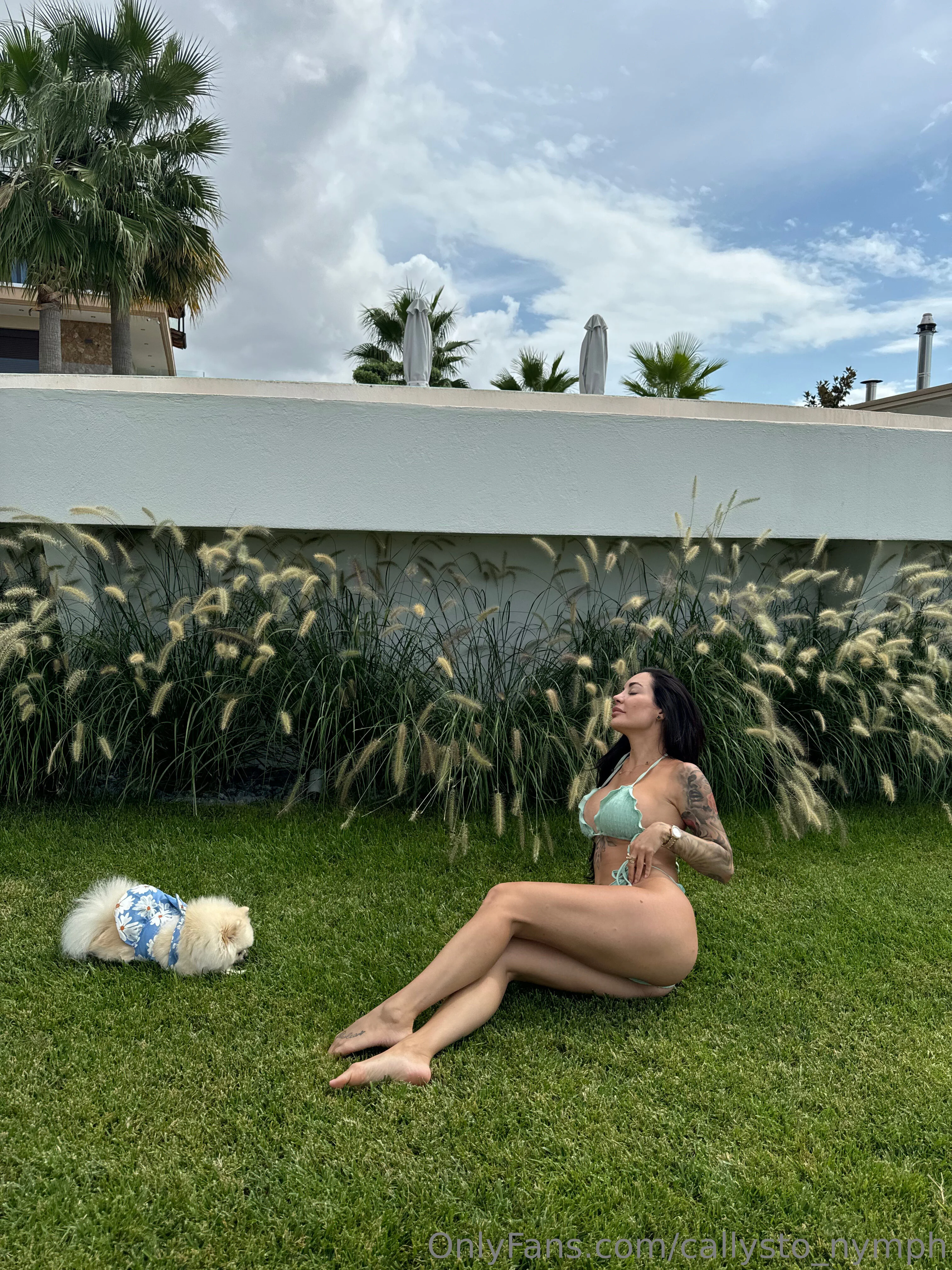 🤎 CELINE 🤎 photo #13