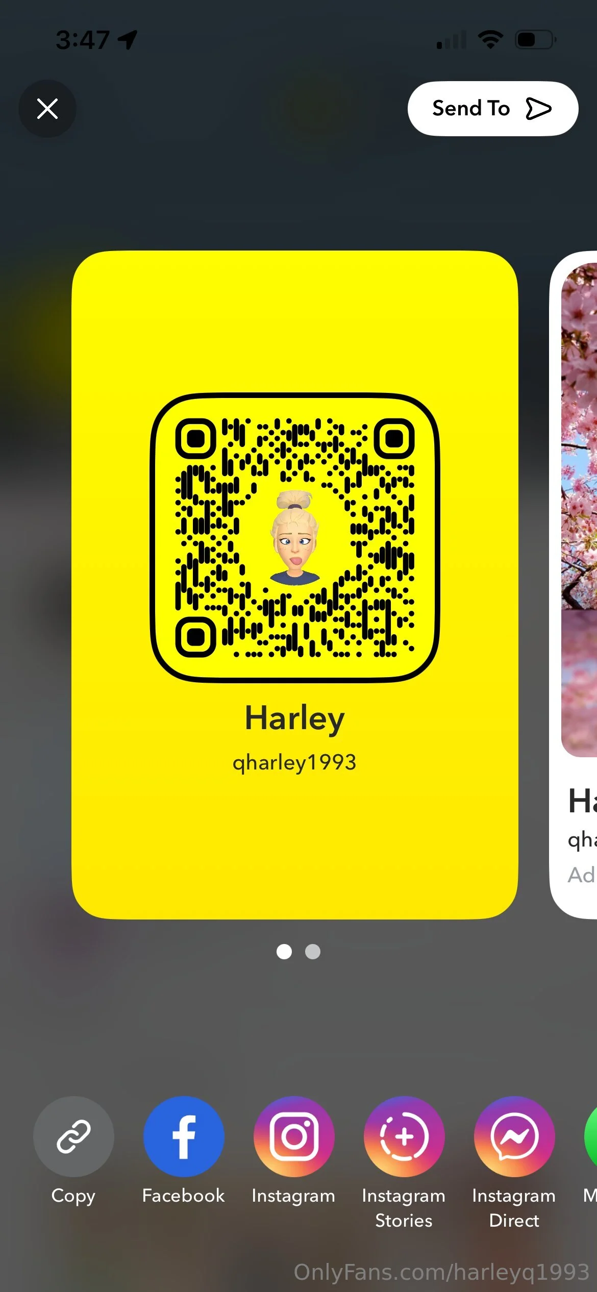 Harley Quinn photo #1