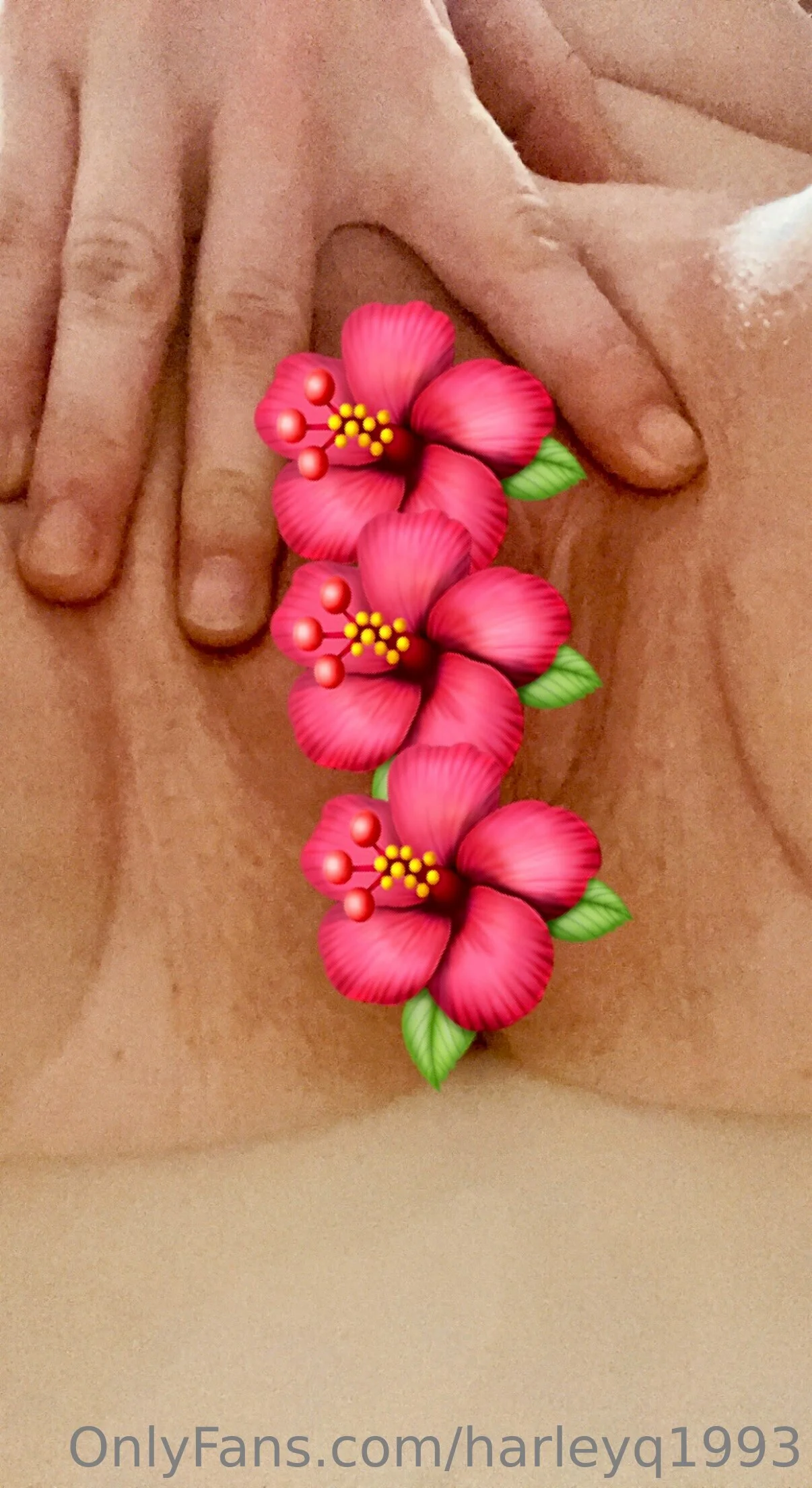 Harley Quinn photo #62