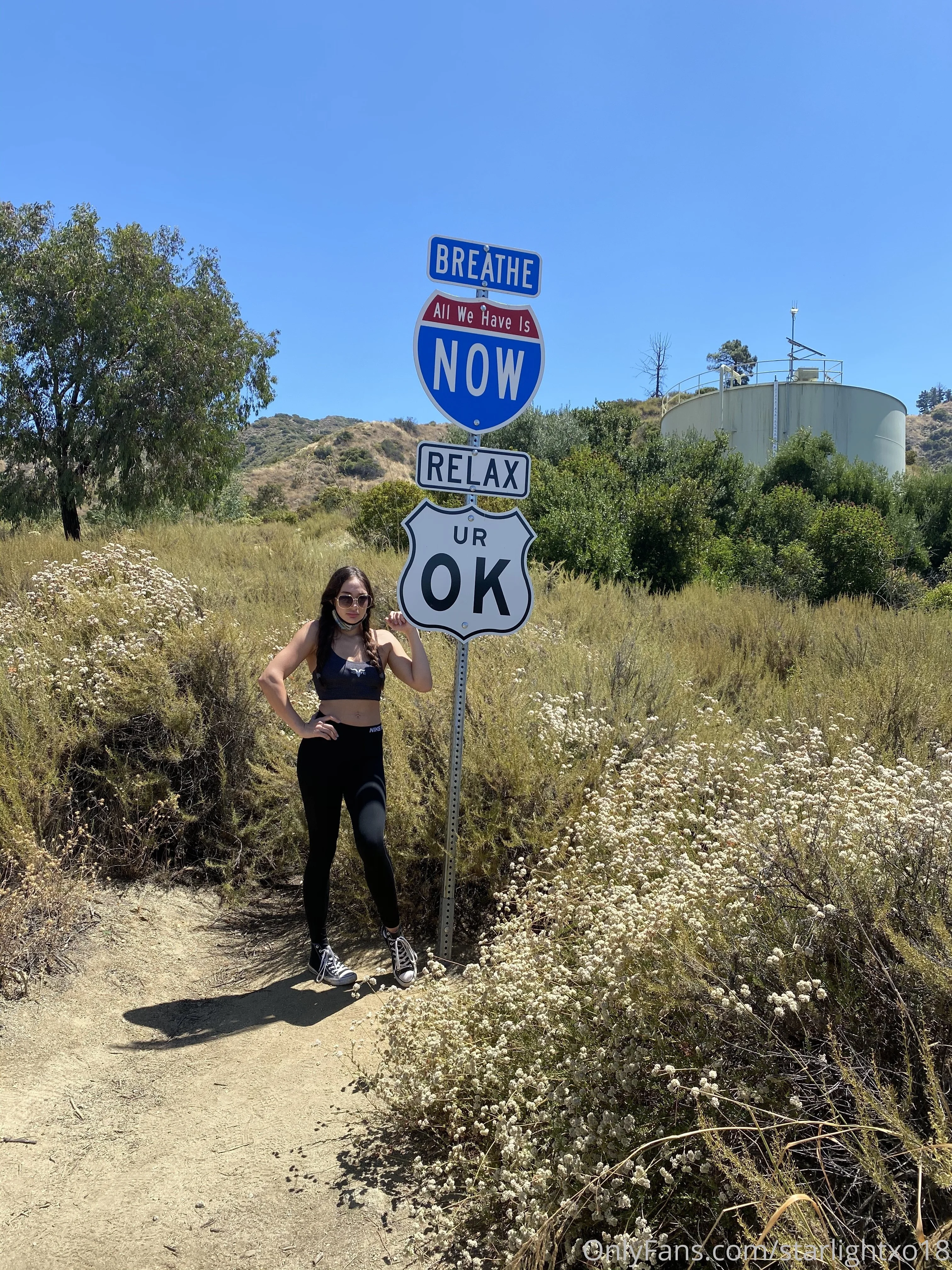 Starlight XO photo #10