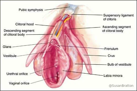 Susan Bratton  💋 Intimacy Advisor photo #64