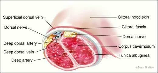 Susan Bratton  💋 Intimacy Advisor photo #63