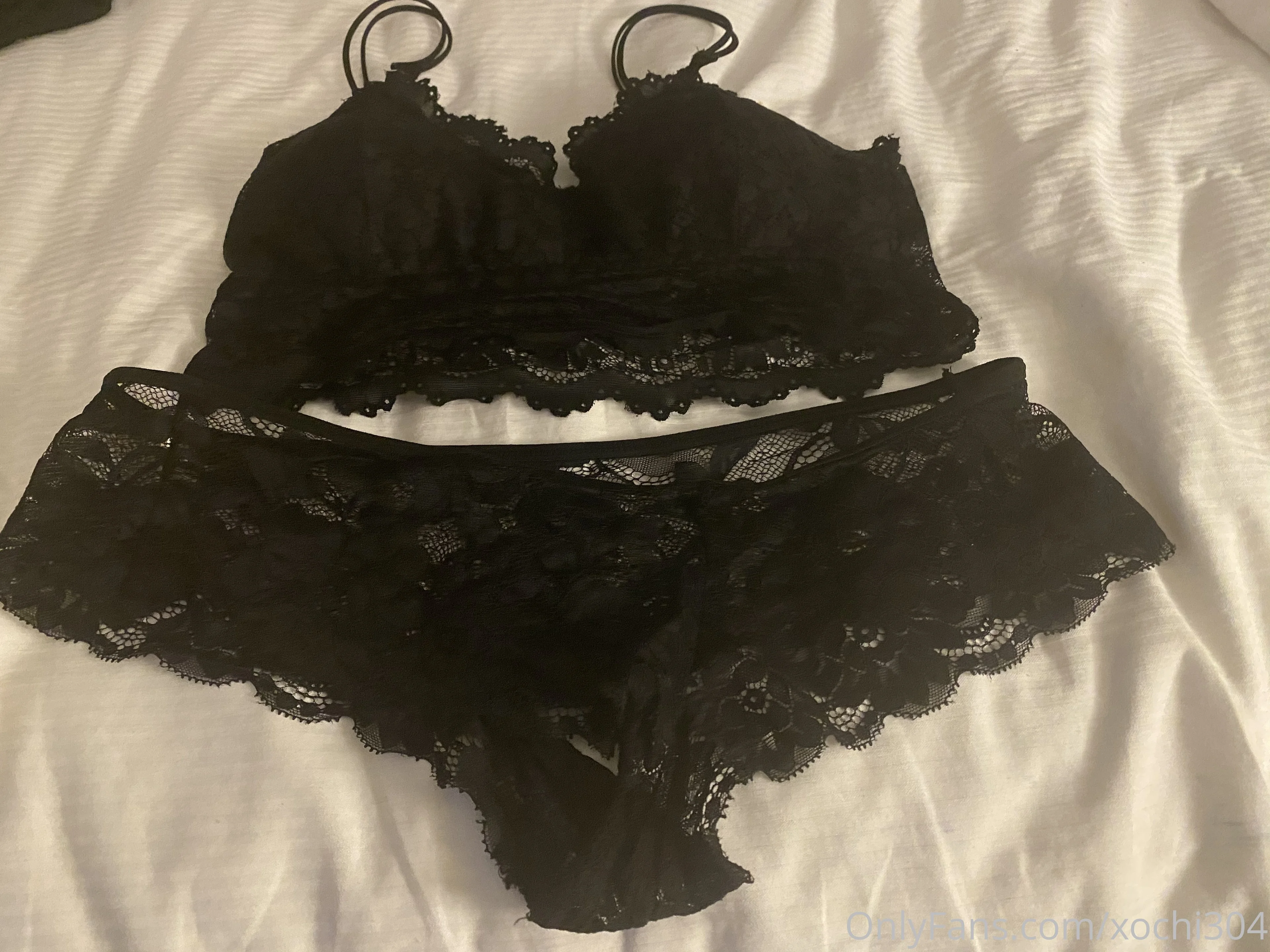 MS Wheelchair Warrior photo #1