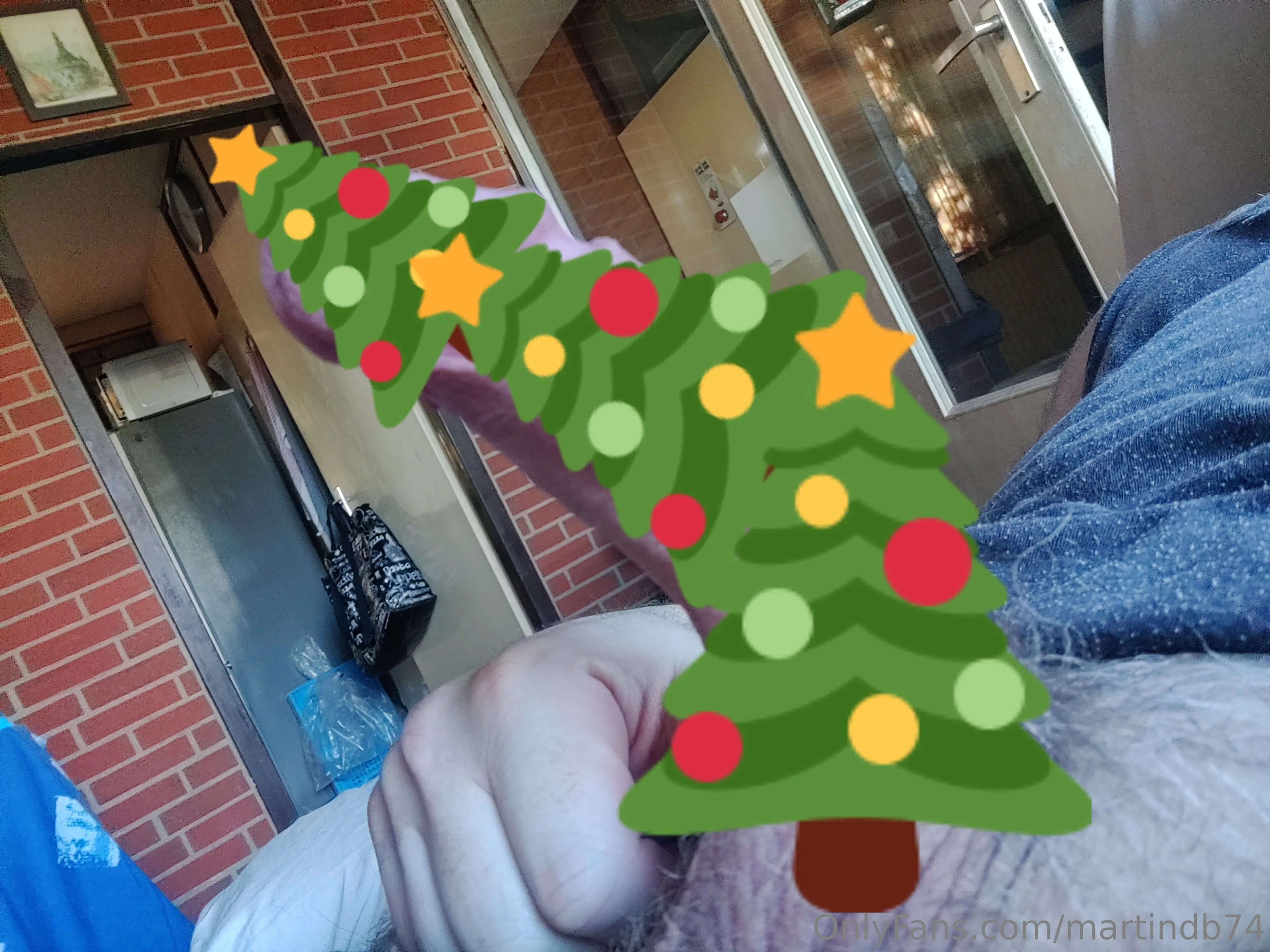 MartinDB74 photo #10