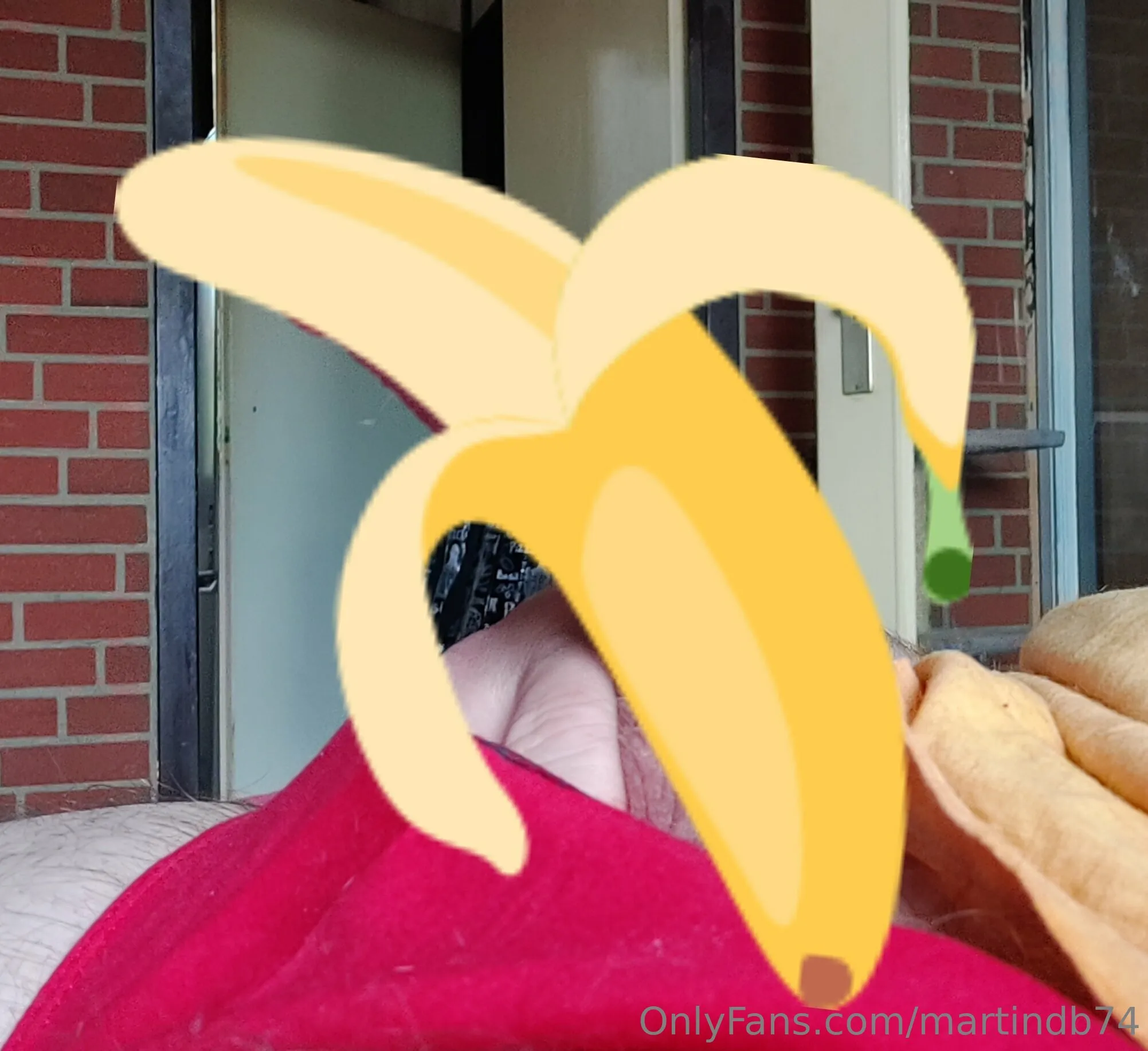 MartinDB74 photo #29