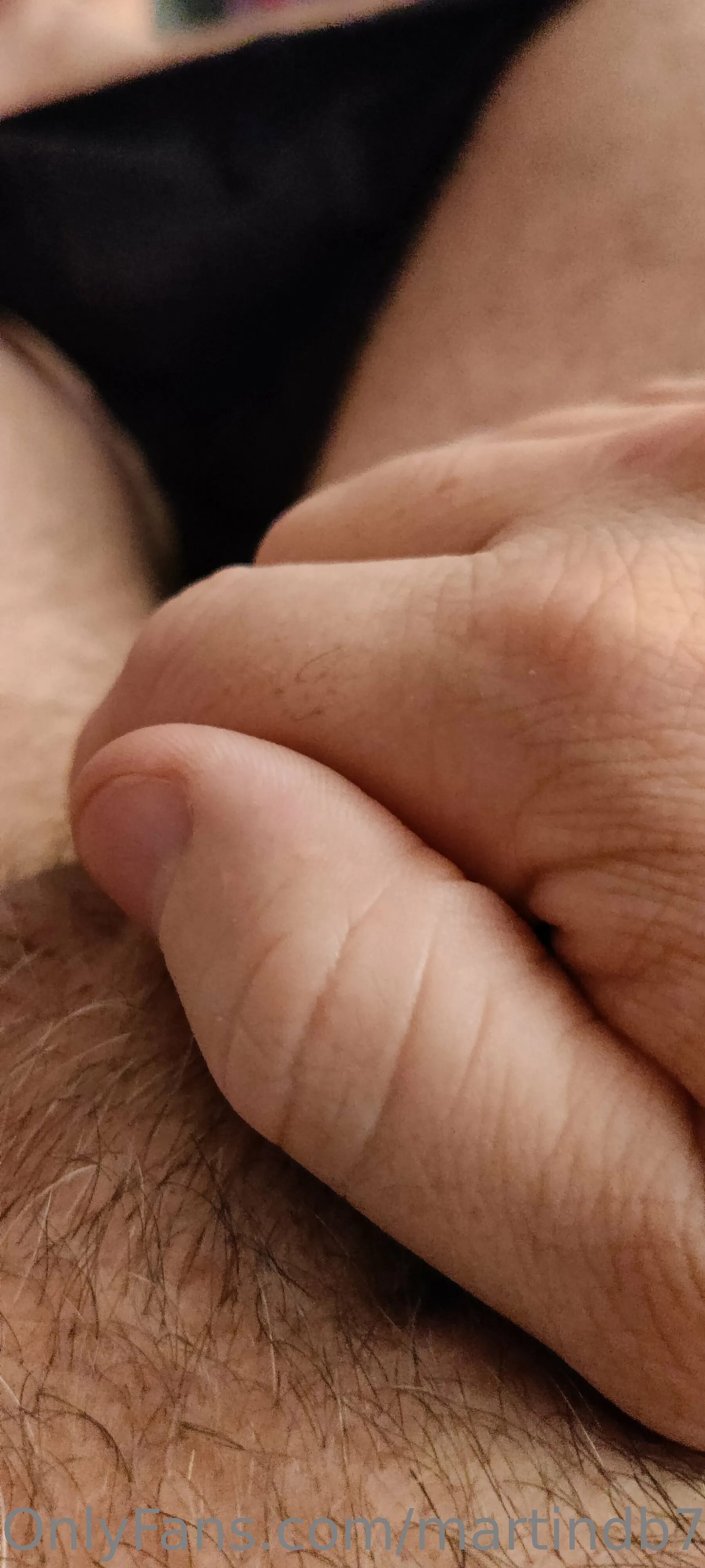 MartinDB74 photo #27