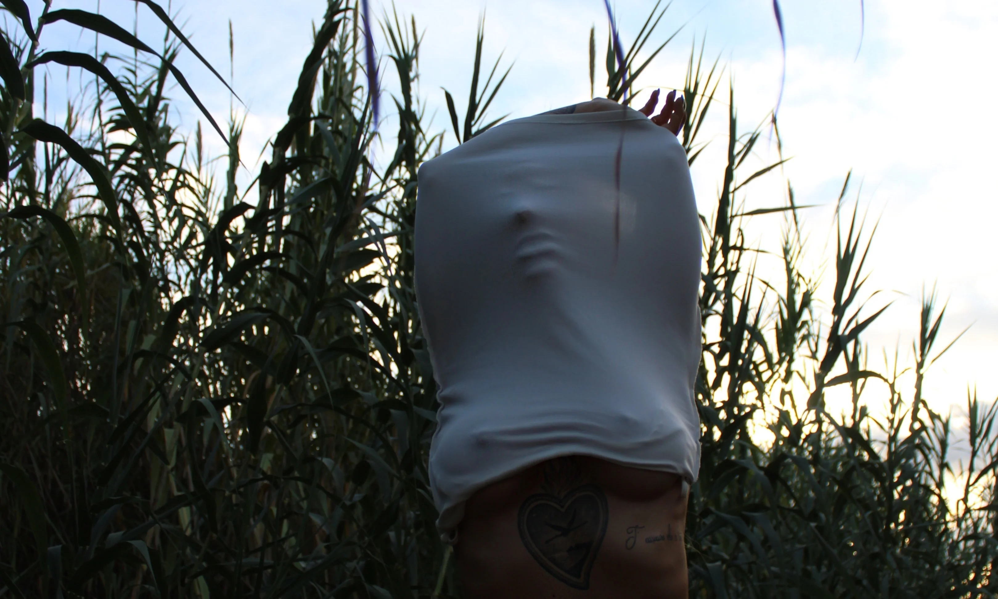 L archivio hot di Queen 🗄👩‍🦰