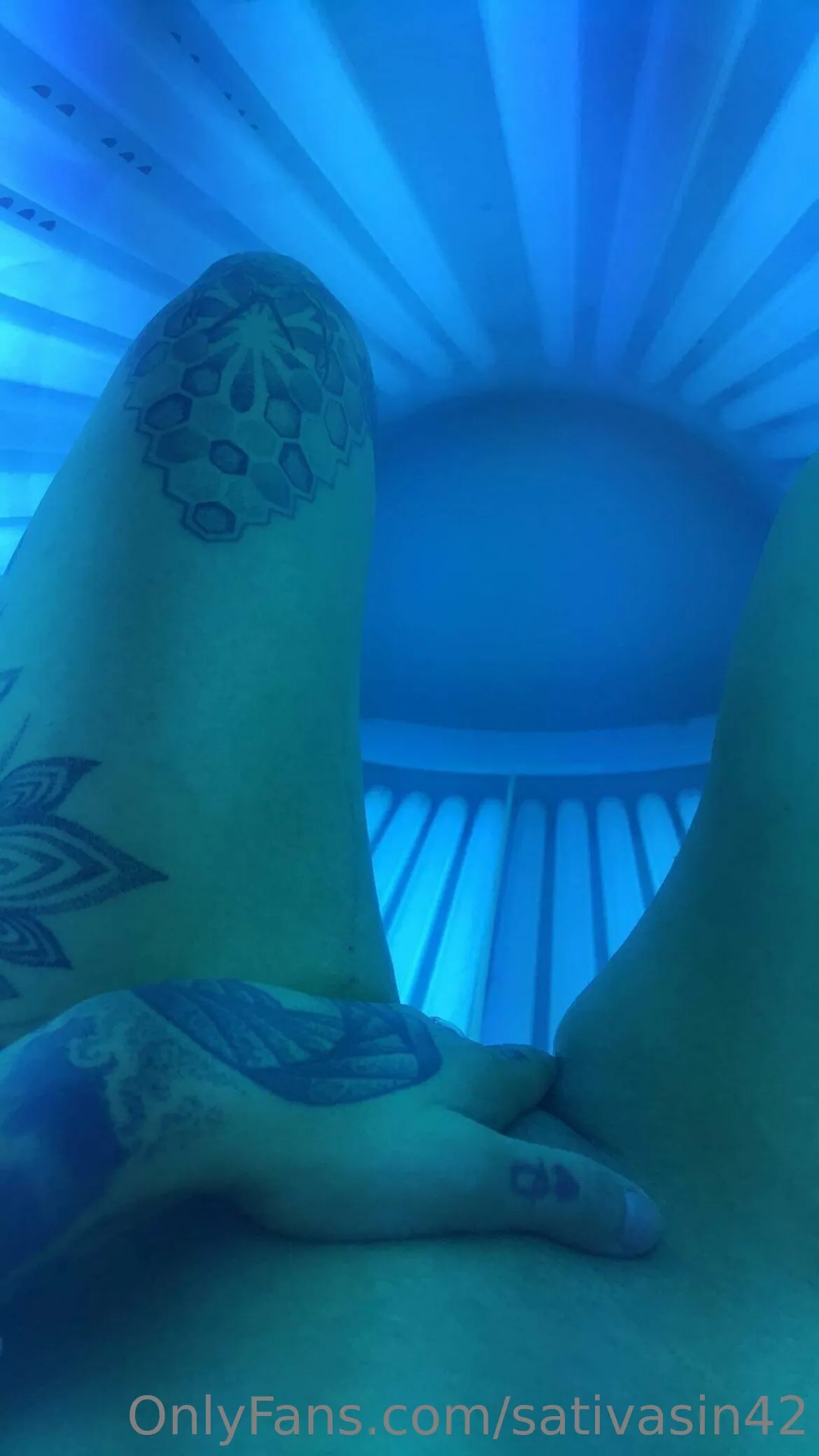 Sativa Sin photo #13