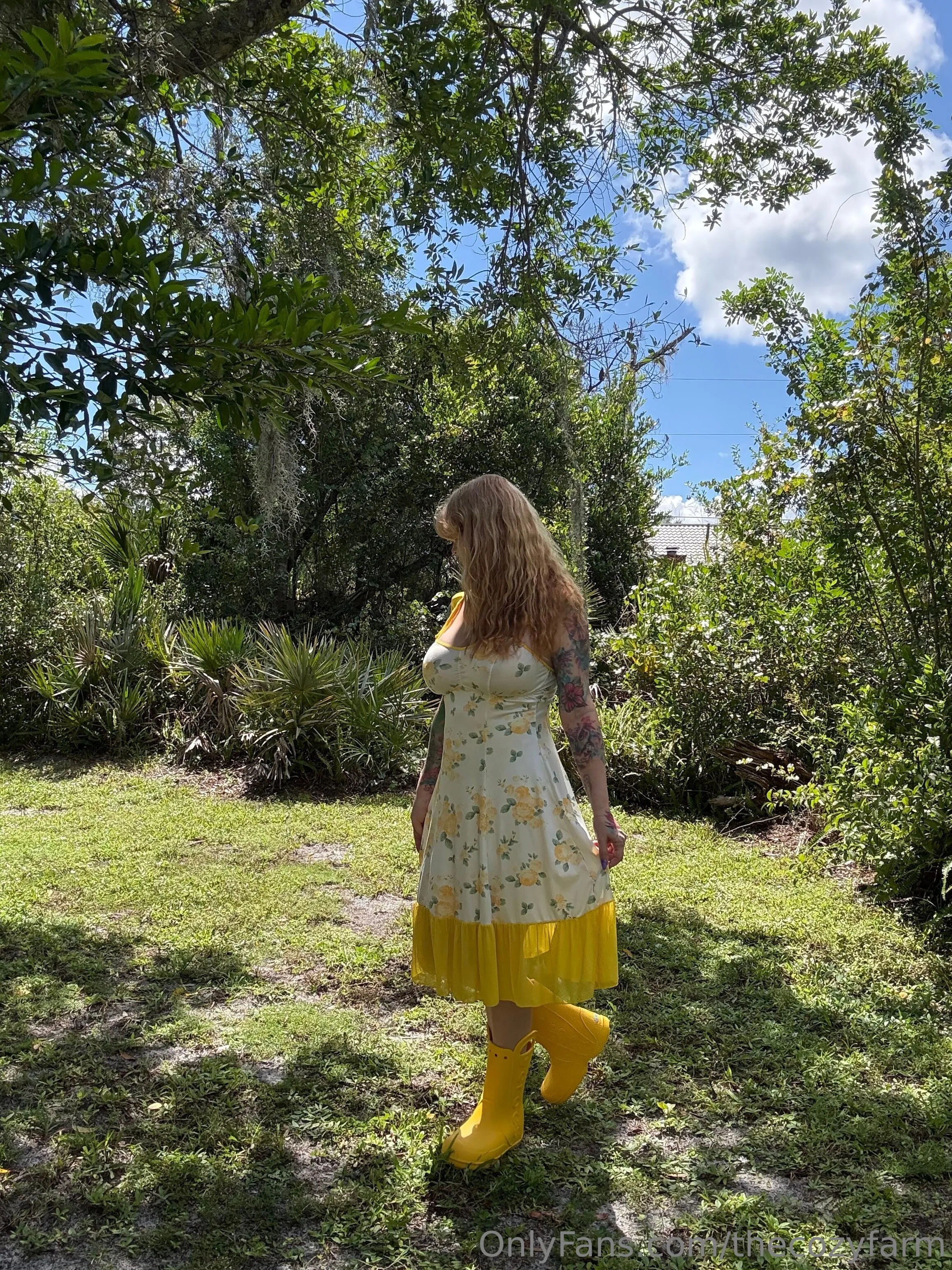 The Cozy Farm photo #33