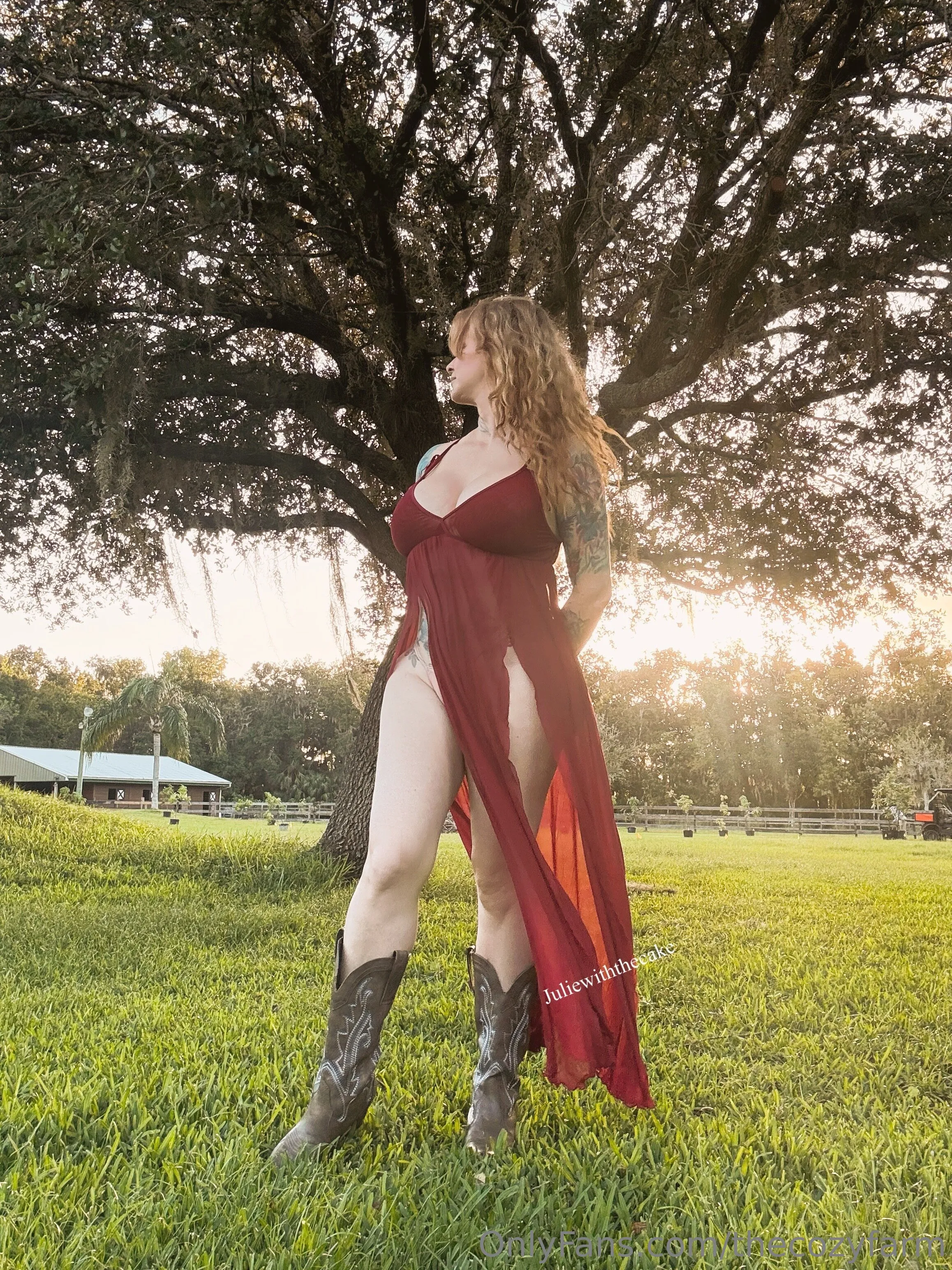 The Cozy Farm photo #19