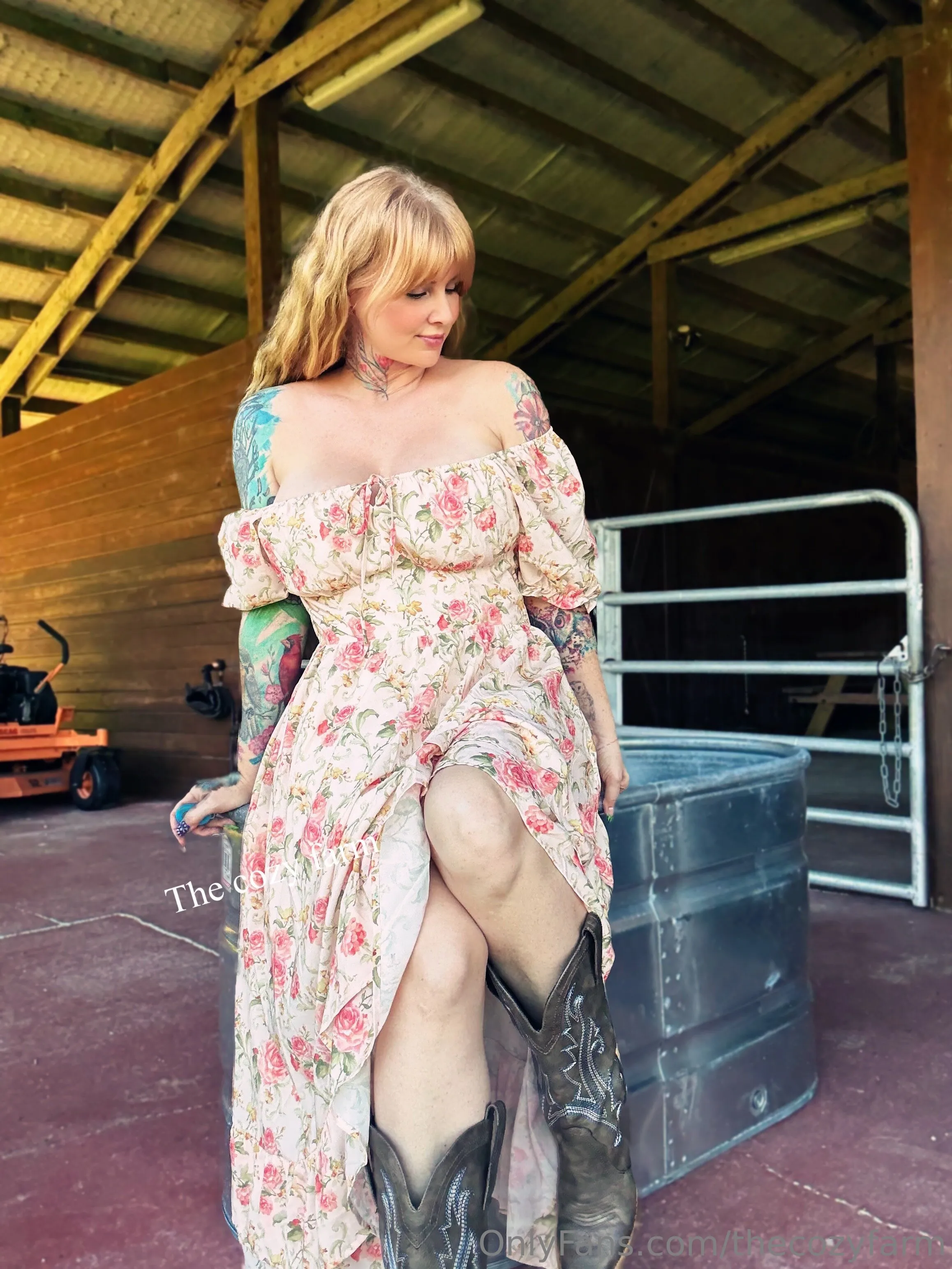 The Cozy Farm photo #9