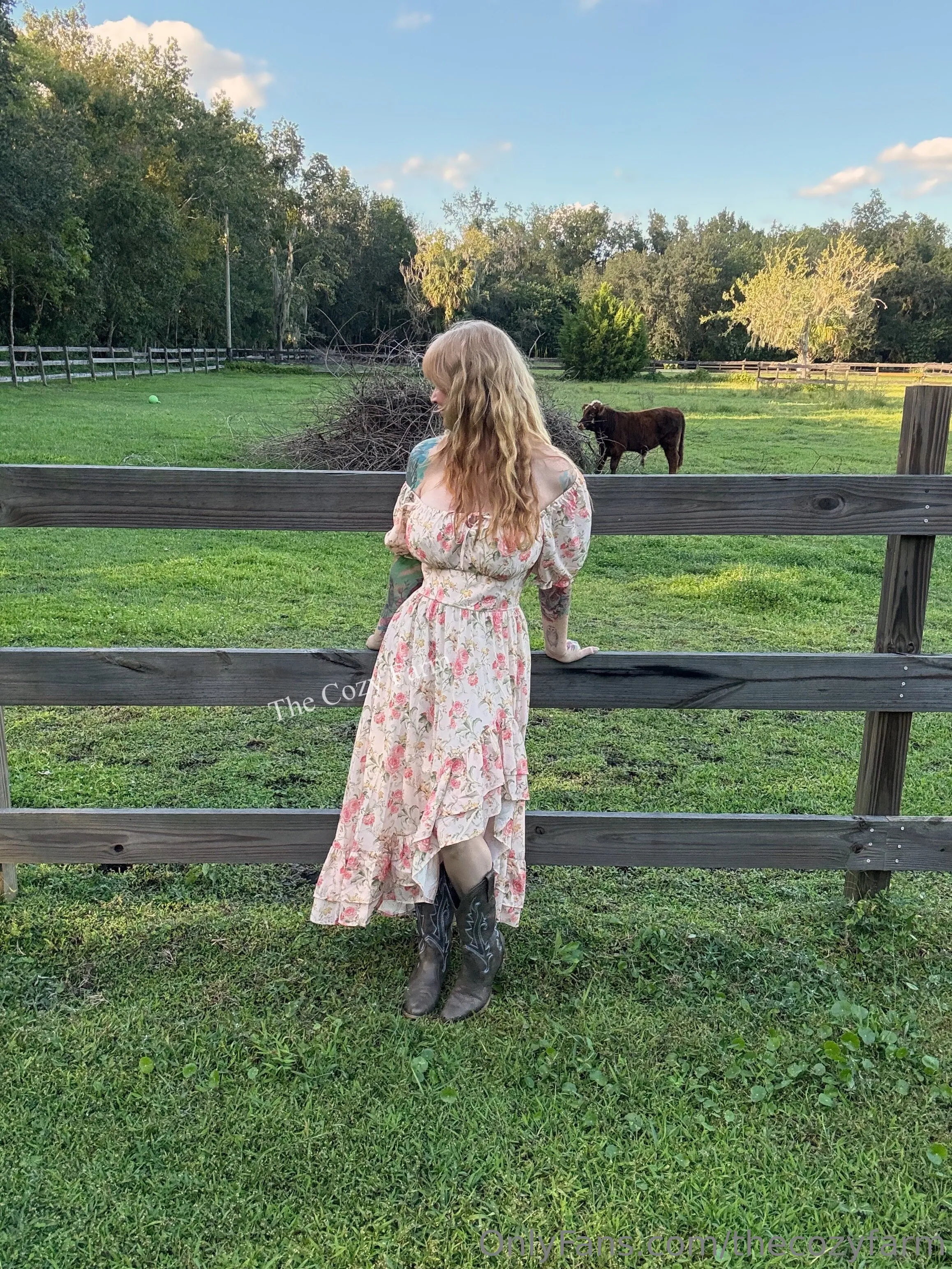 The Cozy Farm photo #4