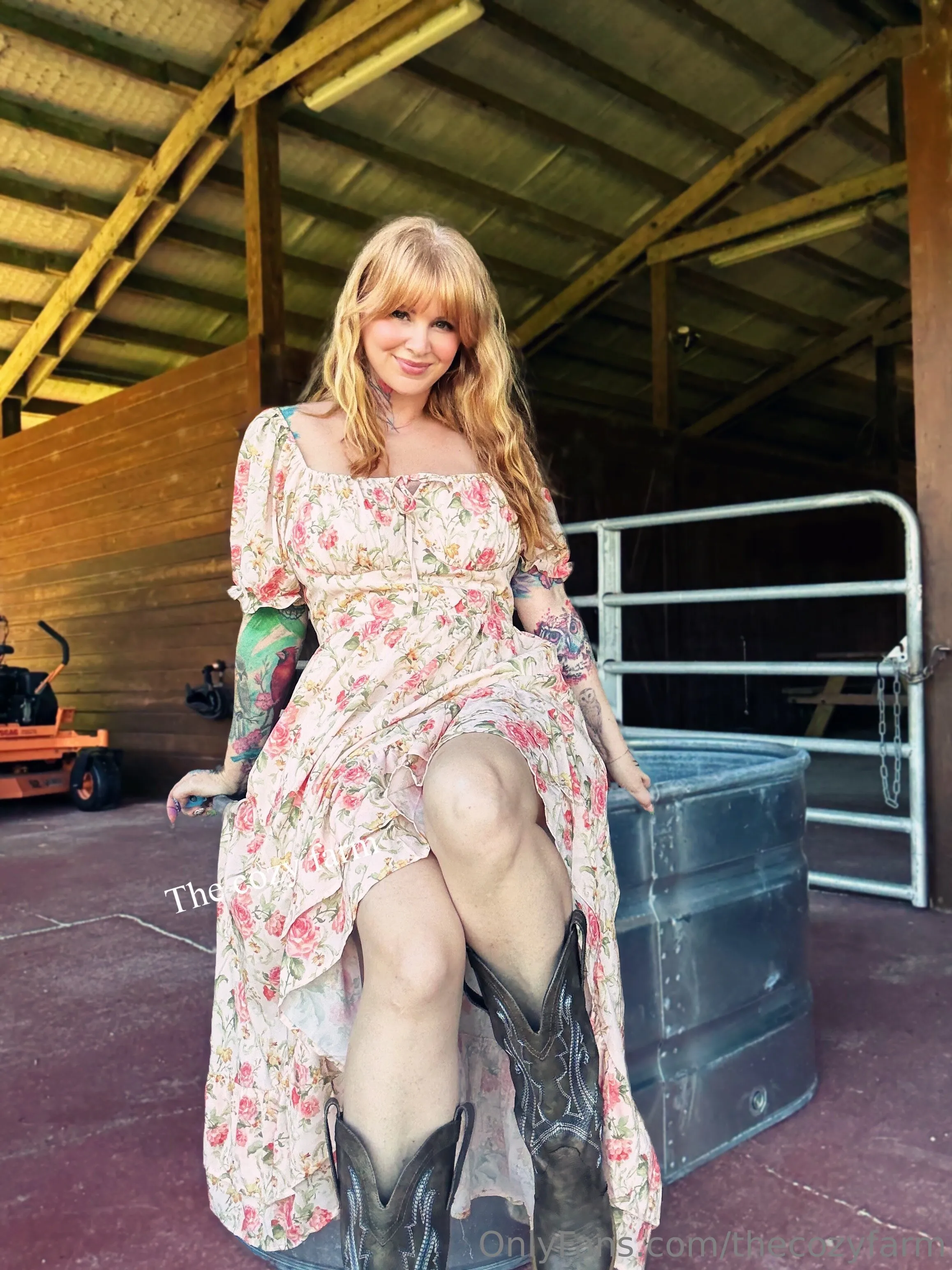 The Cozy Farm photo #3